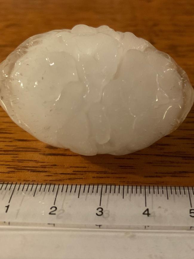 A hailstones that hit West Pennant Hills. Picture: Twitter/Tony Carozi