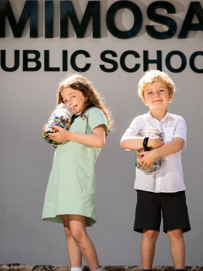 Satine Yates, 8, and Bobby Yates, 6, want people to help them raise money for their school and the Rural Fire Service. Picture: Julian Andrews