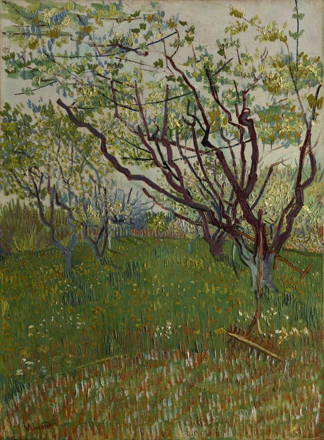 Vincent van Gogh’s the Flowering Orchard.