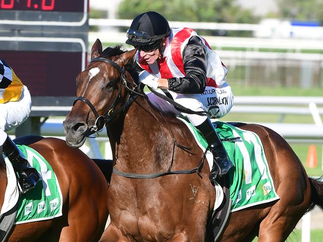 Tambo's Mate holds off Stampe to win the Keith Noud Quality at Doomben. Picture: Grant Peters, Trackside Photography