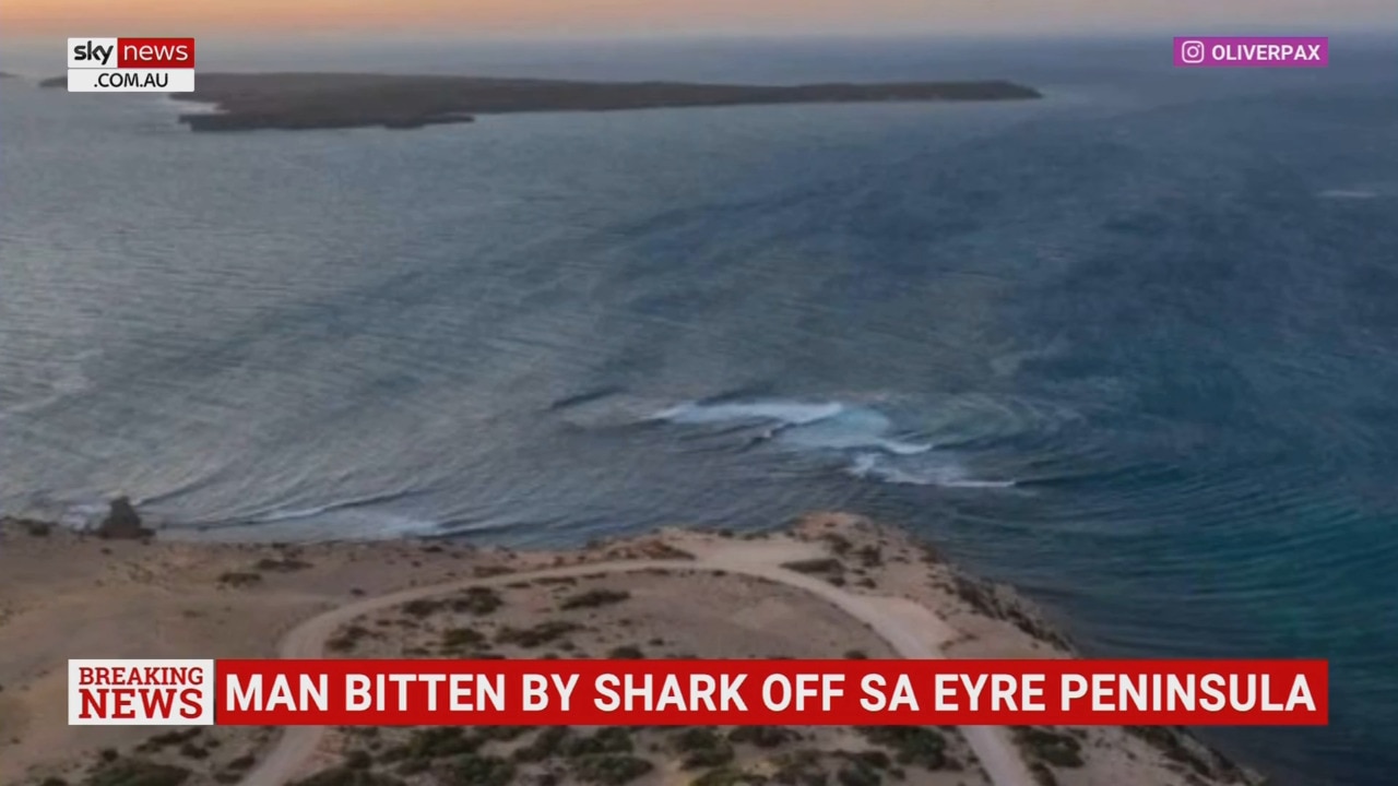 Man believed to be seriously injured after Shark attack