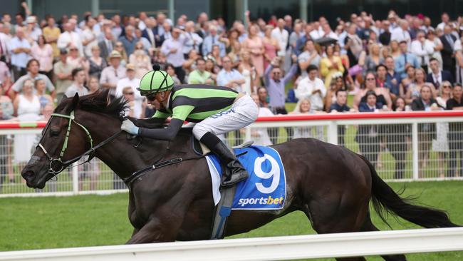 Jockey Jye McNeil rode Our Big Mike to his Pakenham Cup win in 2018. Noel Callow will be in the saddle on Saturday. Photo: AAP Image/David Crosling.