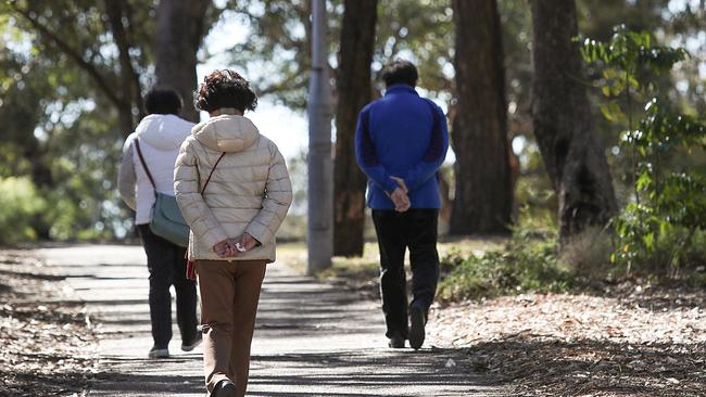 Trees are libraries for the Aboriginal people, said Aunty Carol Carter. Picture: Carmela Roche