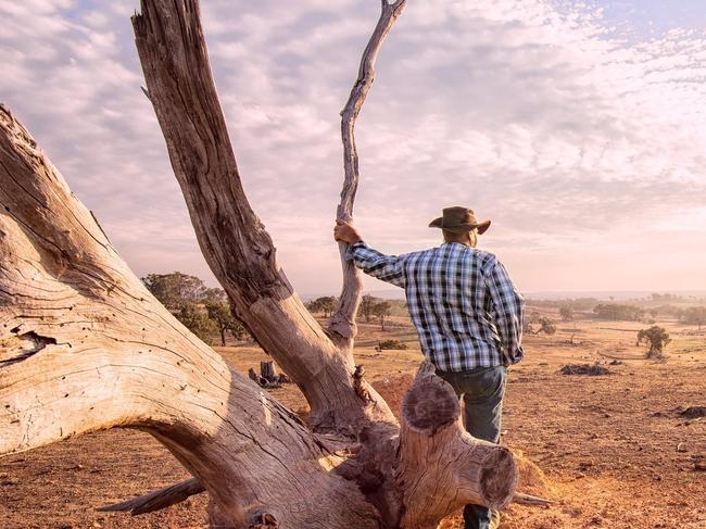 Australian businesses and organisations are getting behind our drought affected farmers.