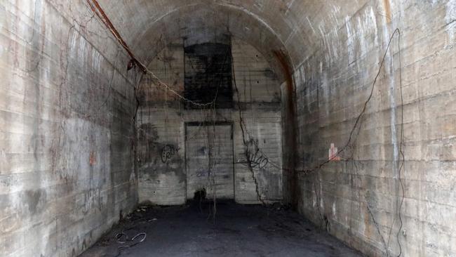 Tree roots from Hyde Park above dangle from the tunnel walls and archways. Picture: Andrew Murray.