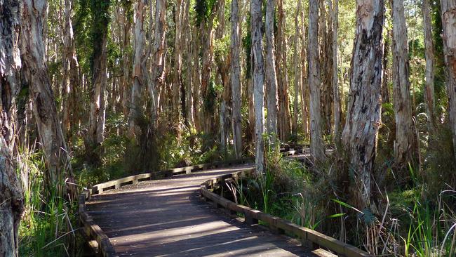 The Boardwalk at Coombabah Lakelands. Picture: Donna Mroz Turcic