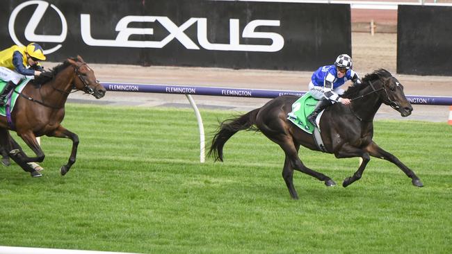 Gold Trip brilliantly won the Turnbull Stakes at Flemington. Picture: Reg Ryan–Racing Photos via Getty Images