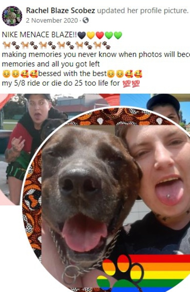 Rachel Scobez says she would ‘die or do 25 to life’ for family including her staffy dog, Nike Menace.