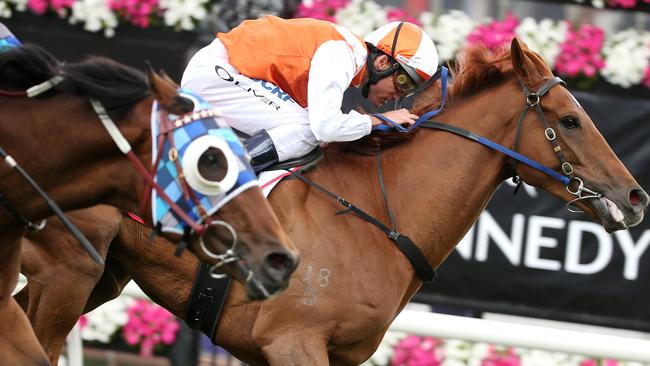 Vow and Declare can run a big race in the Caulfield Cup. Pic: Michael Klein