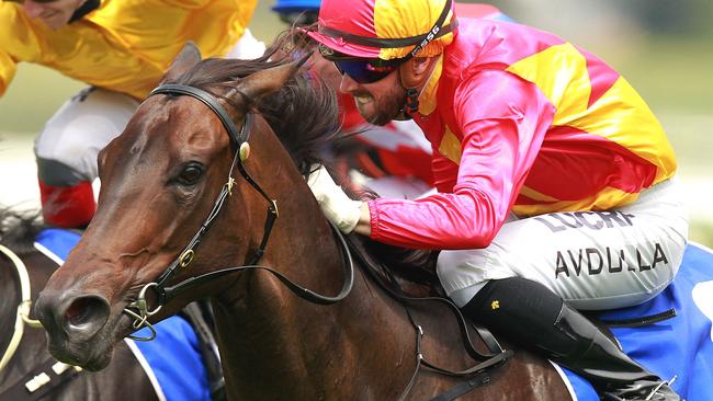 Bonny O'Reilly is one of the better bets of the day at Rosehill, according to Duff. Picture: Jenny Evans