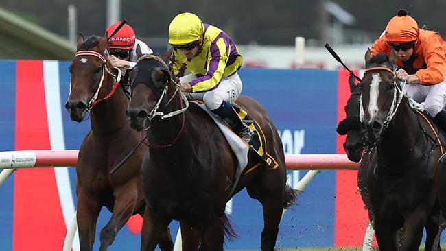 SYDNEY, AUSTRALIA - FEBRUARY 01: Tyler Schiller riding Willaidow win Race 8 Schweppes Southern Cross Stakes during Sydney Racing at Rosehill Gardens on February 01, 2025 in Sydney, Australia. (Photo by Jeremy Ng/Getty Images)