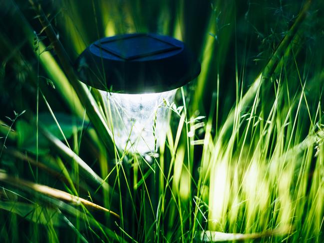 Small Solar Garden Light, Lanterns In Flower Bed. Garden Design. Solar Powered Lamp