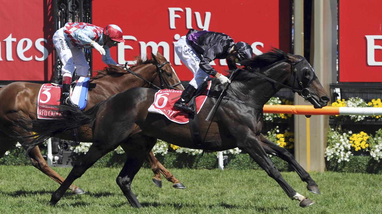 Fiorente (6) ridden by Australian jockey Damien Oliver crosses the finish line to win the Melbourne Cup horse race at Flemington Racecource in Melbourne, Australia, Tuesday, Nov. 5, 2013. At left is Red Cadeaux (3), mounted by French jockey Gerald Mosse, which finished second. (AP Photo/Mal Fairclough) Picture: Ap