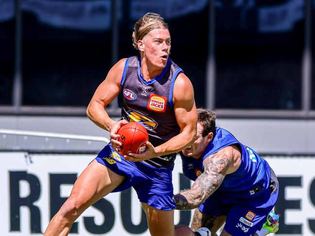 Harley Reid had a quiet practice match for the Eagles. Picture: West Coast FC