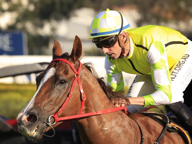 SYDNEY, AUSTRALIA - MARCH 27: Nash Rawiller on Eduardo wins race 8 the Bisley Workwear Galaxyduring Golden Slipper Day at Rosehill Gardens on March 27, 2021 in Sydney, Australia. (Photo by Mark Evans/Getty Images)