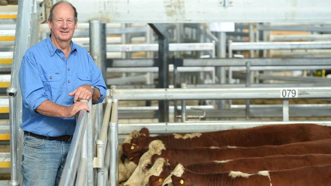 Positive signs: Hereford breeder Peter Allen is impressed with the new yards. Pictures: Zoe Phillips