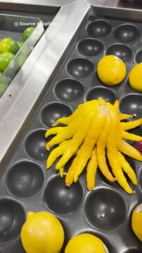 Mystery fruit at Coles leaves shoppers baffled