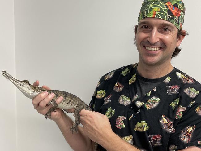 Unusual Pet Vets Dr Josh with Saltwater Croc