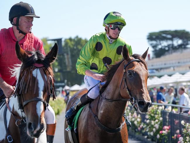 Marble Arch (NZ) ridden by Michael Dee returns to the mounting yard after winning the TAB Blamey Stakes at Flemington Racecourse on March 01, 2025 in Flemington, Australia. (Photo by George Sal/Racing Photos via Getty Images)