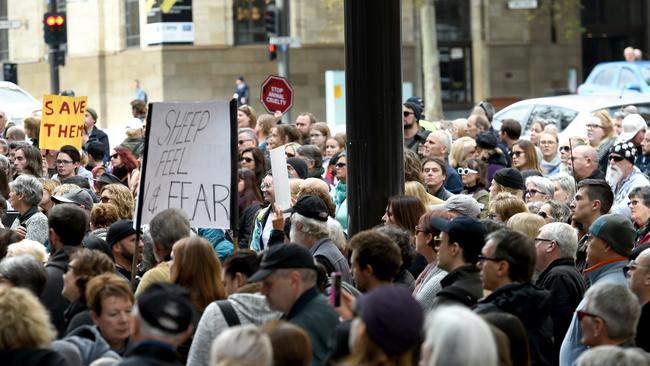 Ban Live Export national protest at Parliament House. Picture: Tricia Watkinson