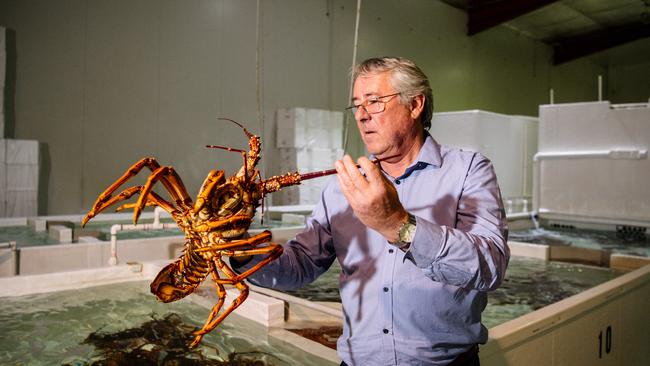 Rock lobster exporter Andrew Ferguson in Adelaide. Before the breakdown in trade ties between Australia and China, Australia’s lobster exports to the country were valued at about $940m. Picture: Morgan Sette