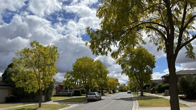 Police are investigating after a man was stabbed on Flinders St, Taylors Hill and hospitalised in a serious condition.