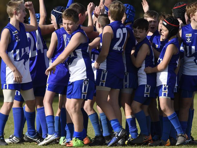 Langwarrin will have eight teams chasing premierships on FDJFL grand final day on Sunday.