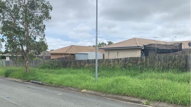 Overgrown grass in Redbank Plains. Photo: Karen Moss