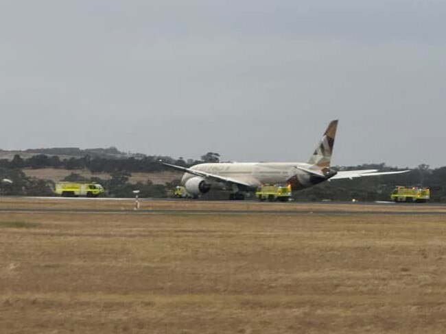 The Etihad plane had to abort its take off. Picture: Hugo Wood