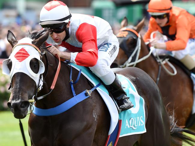 Mystic Journey won the Thomas Lyon at Mowbray this year before icing a blistering three-year-old campaign with the Australian Guineas and All Star Mile double.