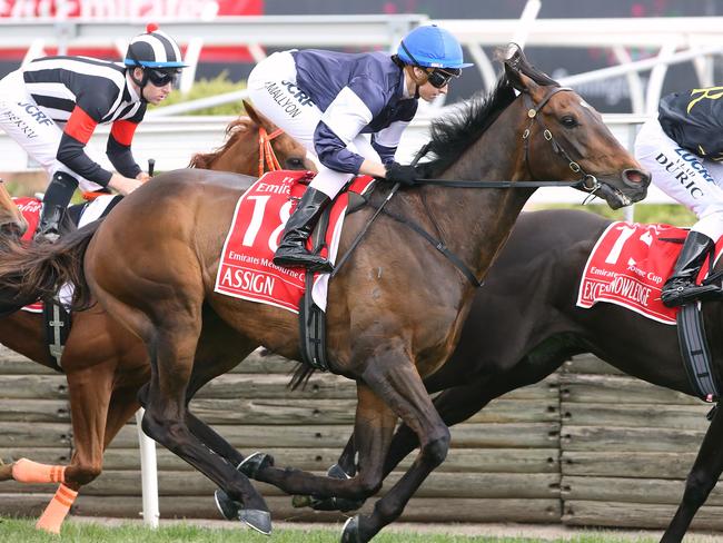 The 2016 Melbourne Cup day of racing at Flemington Racecourse Melbourne cup Race 7 No 18 Assign ridden by Katelyn Mallyon  first time past the post   . Kerrin  McEvoy  won the race   on no 17 Almandin Picture:Wayne Ludbey