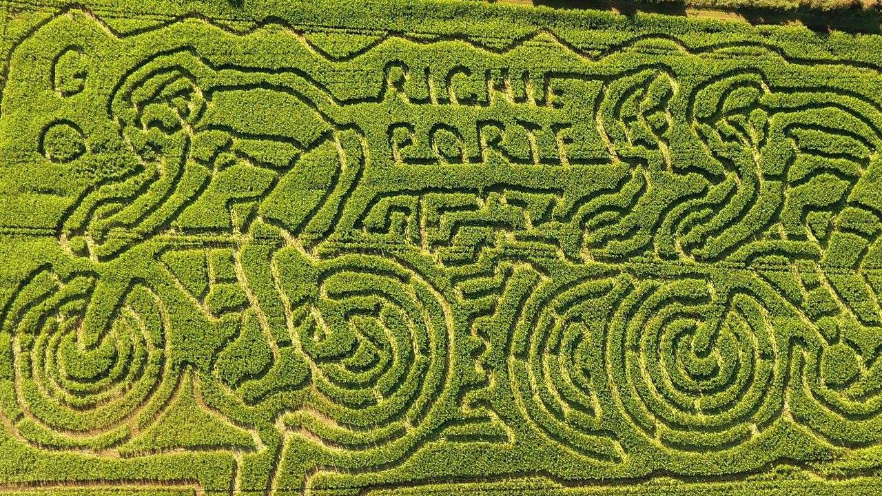 The Richie Porte maze at Rupertswood Farm at Hagley in Tasmania's north. Picture: Facebook