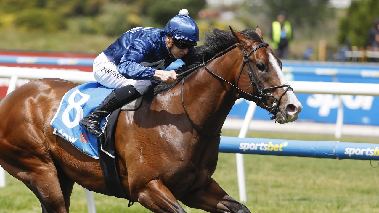 Lofty Arch won two of three starts in his debut prep including the Listed Gothic Stakes at Caulfield last October. Picture: Michael Klein