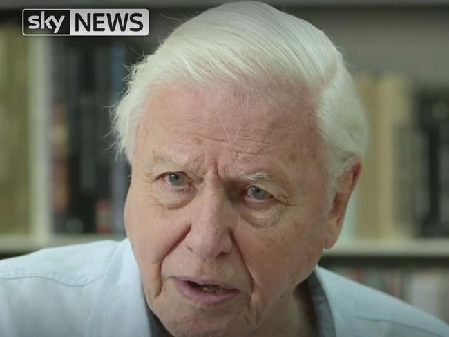 Sir David Attenborough reveals his devastation at seeing a bird choke on plastic. Picture: Sky News/Sky Ocean Rescue