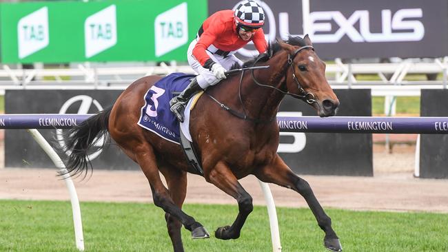 Schabau (GER) ridden by Brett Prebble wins the 2021 Country Achiever John Ledger at Flemington Racecourse on August 07, 2021 in Flemington, Australia. (Brett Holburt/Racing Photos via Getty Images)