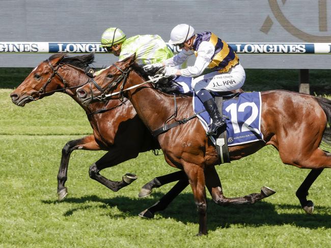 SYDNEY, AUSTRALIA - OCTOBER 29: Brenton Avdulla (lime green) on Star Of India wins race 6 the Rosehill Gold Cup during Sydney Racing at Rosehill Gardens on October 29, 2022 in Sydney, Australia. (Photo by Jenny Evans/Getty Images)