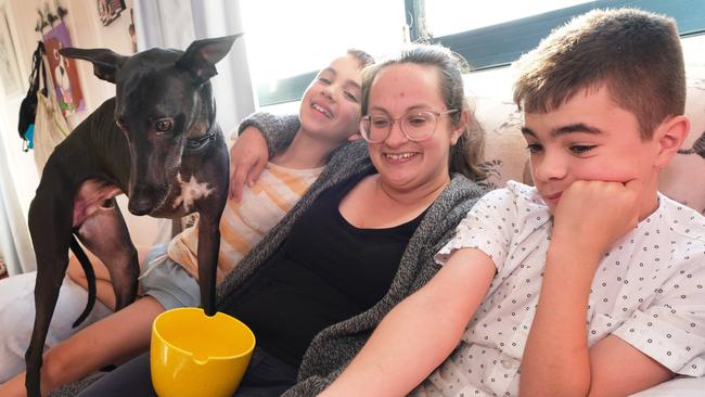 Artie the 2 year old Whippet made news headlines in March after his family made a bucket list for him as he has a terminal illness. Pic shows owner Georgi Anderson and kids Charles, 11, and Arthur 8. with Artie Picture: Mark Wilson