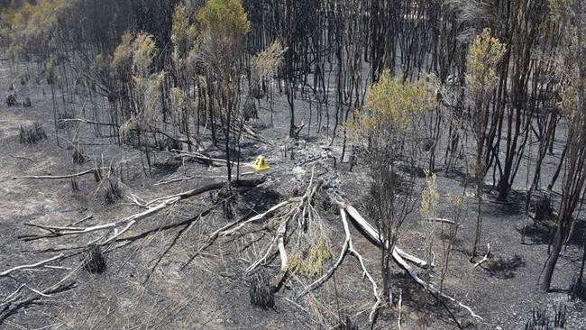 It was branded the “forgotten fire”, but the Keilira blaze tore through more than 25,000ha.