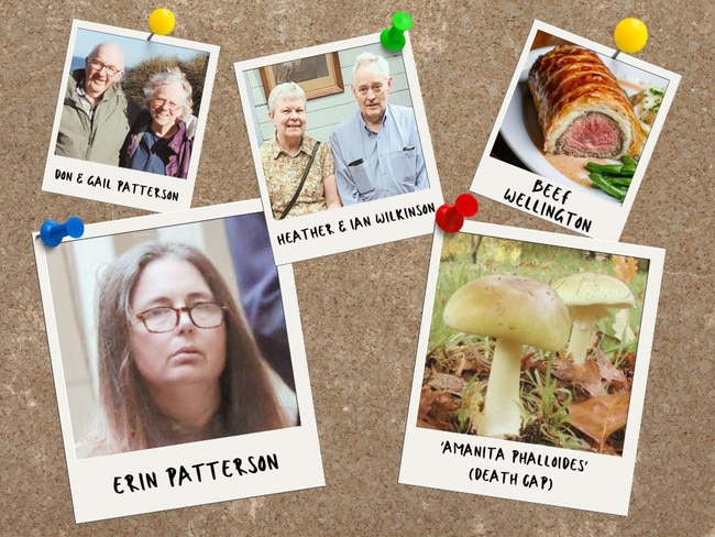 art for erin patterson trial.