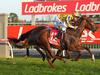 Entain quits race for Victorian betting licence