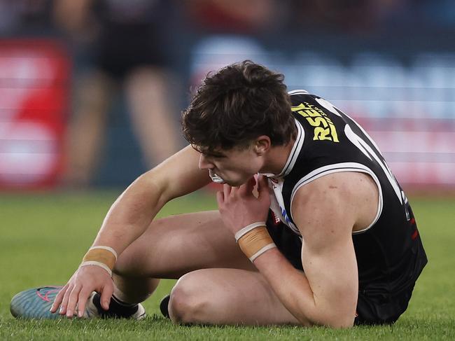 MELBOURNE, AUSTRALIA - MAY 04:  Darcy Wilson of the Saints recovers from a heavy hit  during the round eight AFL match between St Kilda Saints and North Melbourne Kangaroos at Marvel Stadium, on May 04, 2024, in Melbourne, Australia. (Photo by Darrian Traynor/Getty Images)