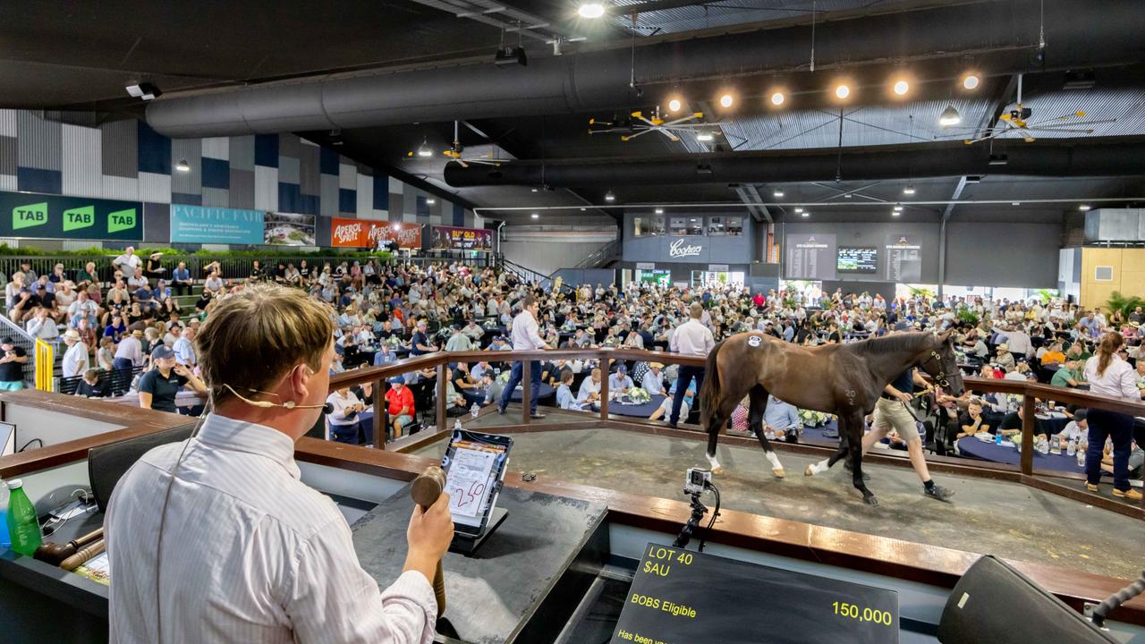 Magic Millions posts near record sale value in 2024 The Australian