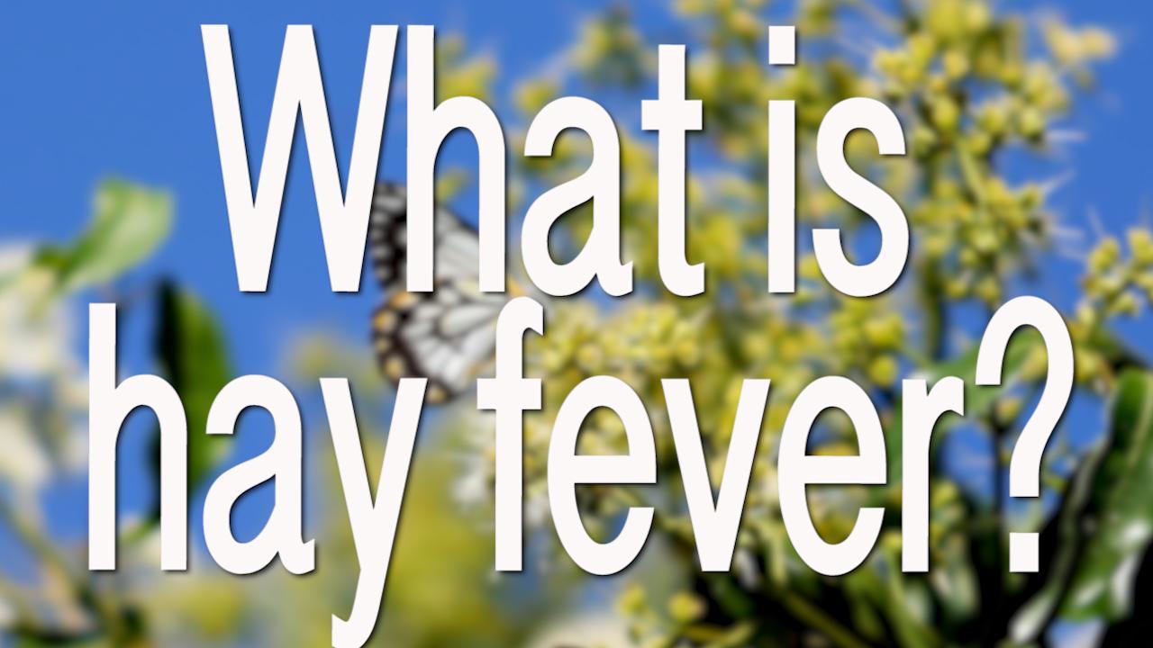 What is hay fever?