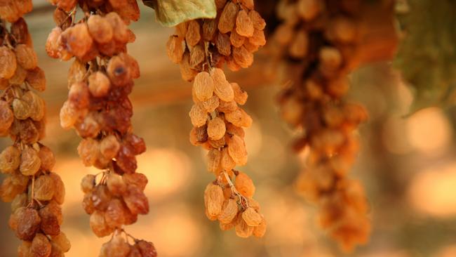 Sultanas produced by Scalzo Foods at their Nangiloc vineyard, which is opposite Advinco Farm.