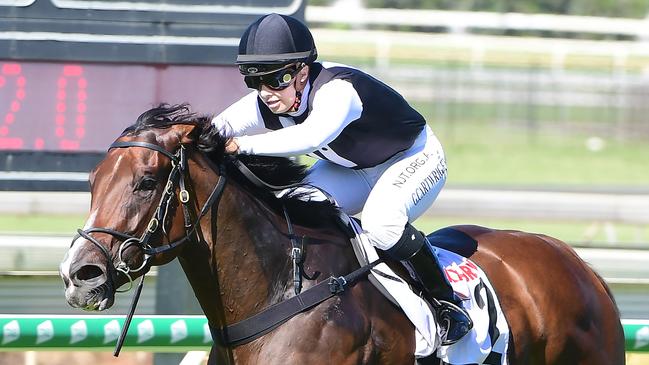 Bleu Zebra looks a good chance if she can handle the wet ground. Picture: Trackside Photography