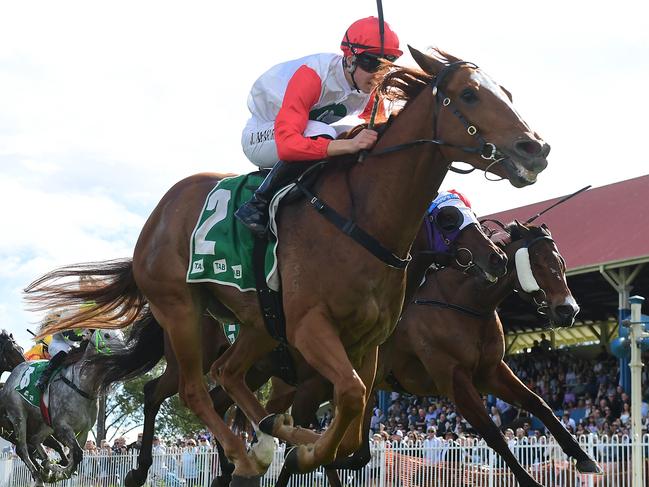 Slippin' Jimmy can start the day off on a winning note at Coffs Harbour. Picture: Grant Peters - Trackside Photography