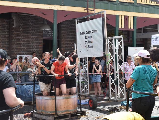 The Apple and Grape Festival grape crush, March 1, 2024