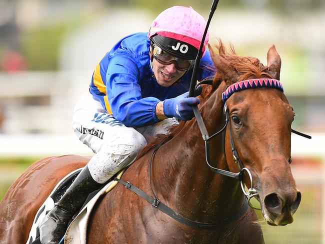 Gem Of Scotland will be suited by the soft conditions.