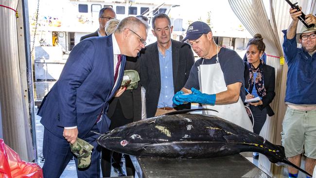 Looking very fishy there, ScoMo. Picture: NCA NewsWire/Richard Walker