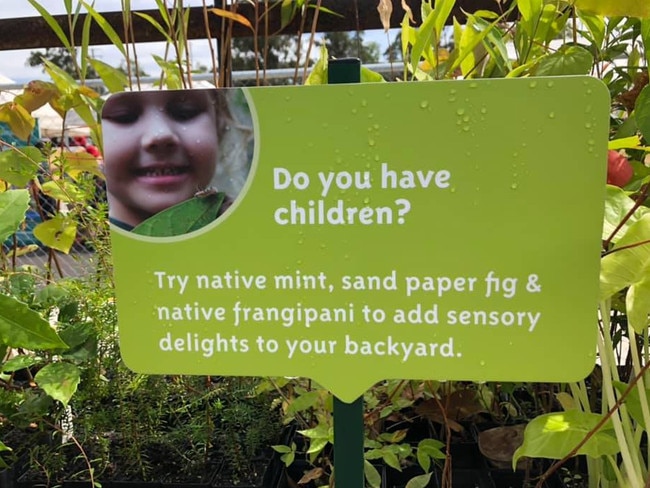 The nursery is an important local source of native plants, with the $2.50 seedlings a bargain for family gardeners. Photo: Paula Shearer.